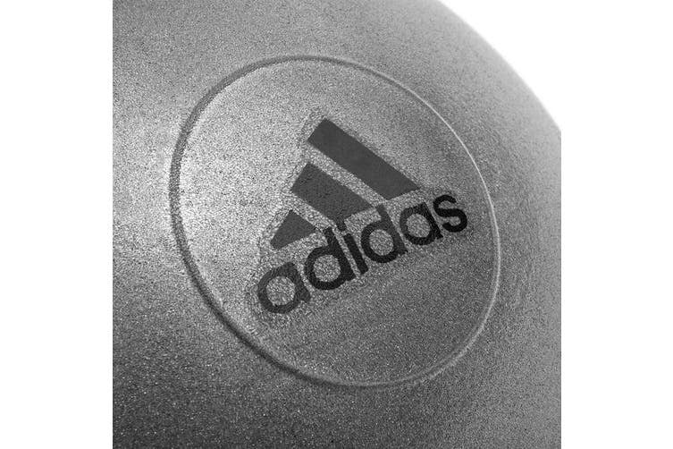Adidas Gym/Exercise Ball
