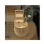 Essential Oils Storage Box - Wooden 3-Tier Bottle Holder - 59 Slots